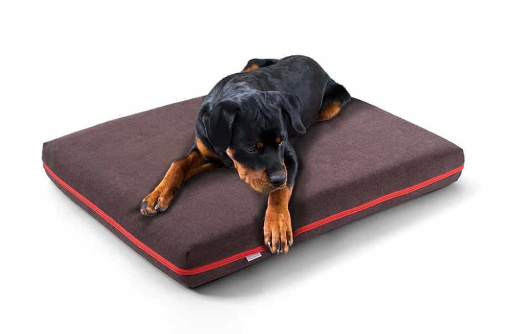 Rottweiler sleeps deeply relaxed on his ergonomic dog mattress from pet-interiors.