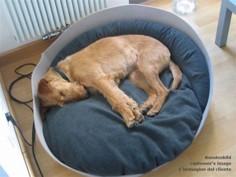 ARENA pet bed with latex cushions 